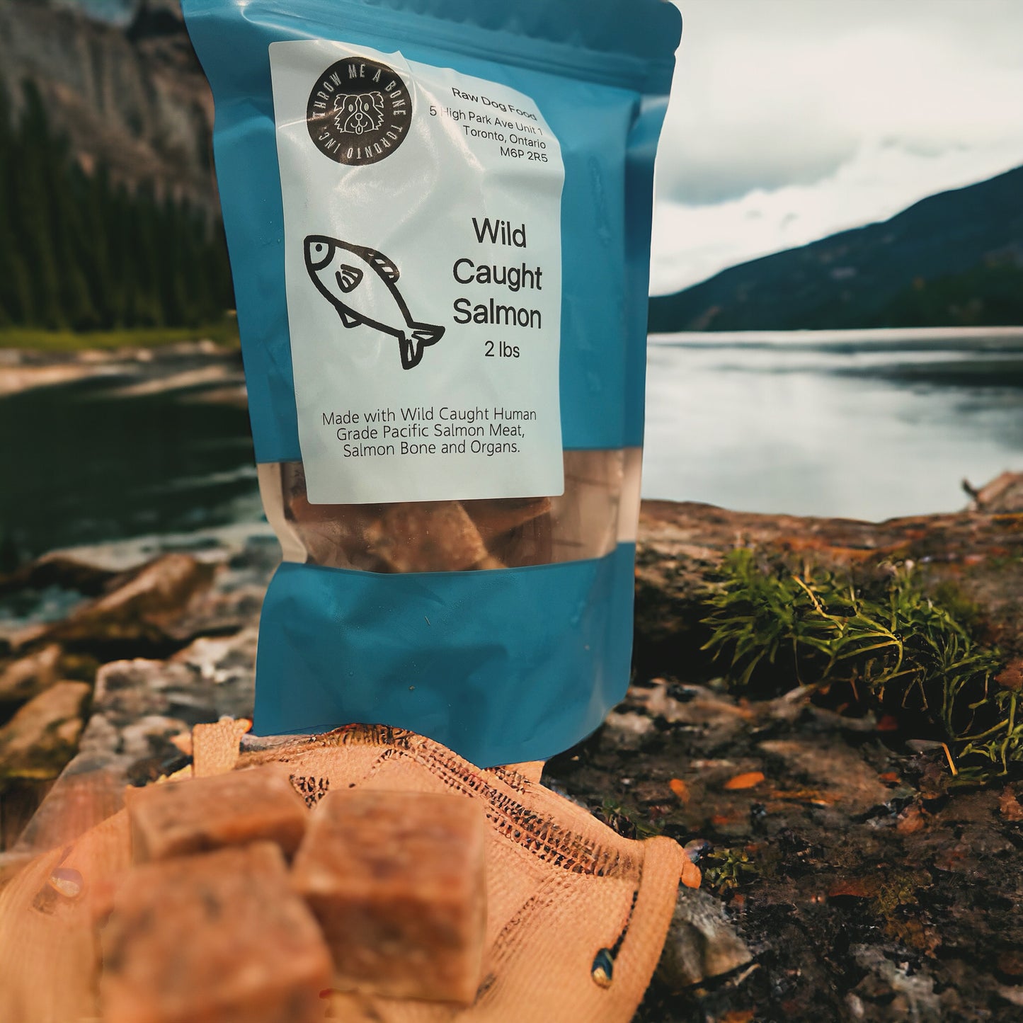 Wild Caught Pacific Salmon