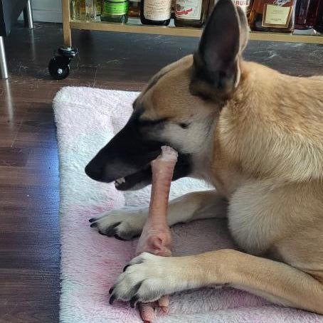 Farm-Fresh Ontario Turkey Foot (Large, Raw & Whole)