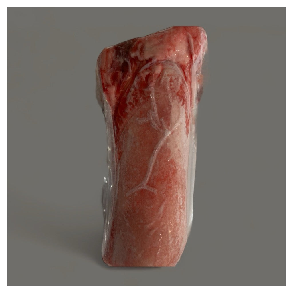 All  Natural Beef Femur 1pc