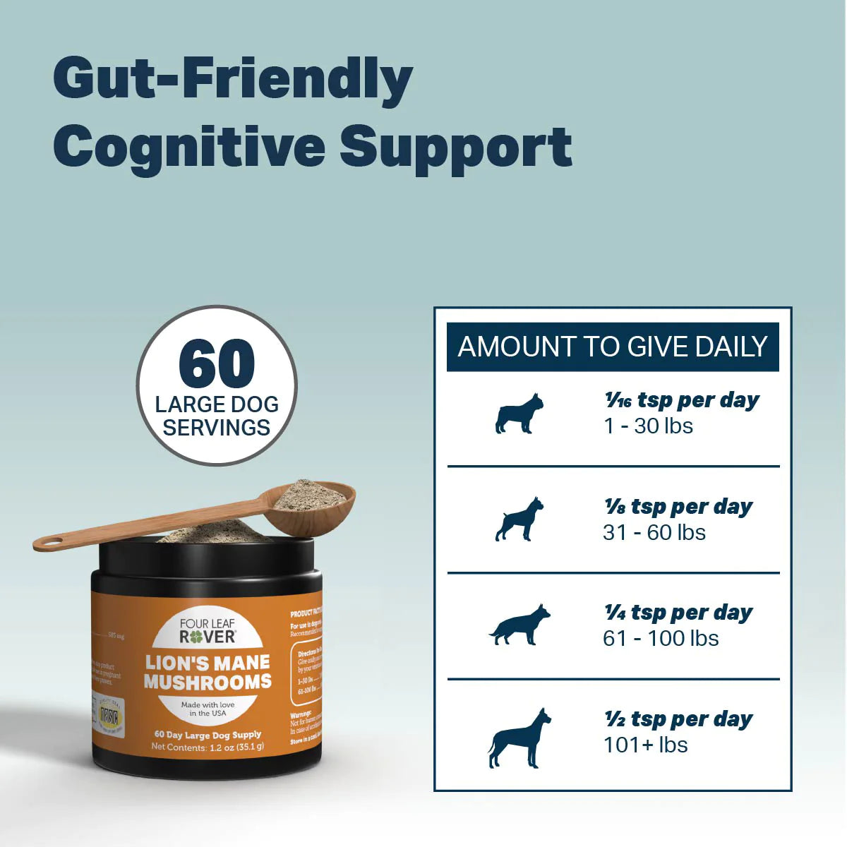 Lion's Mane - Organic Mushroom Extract