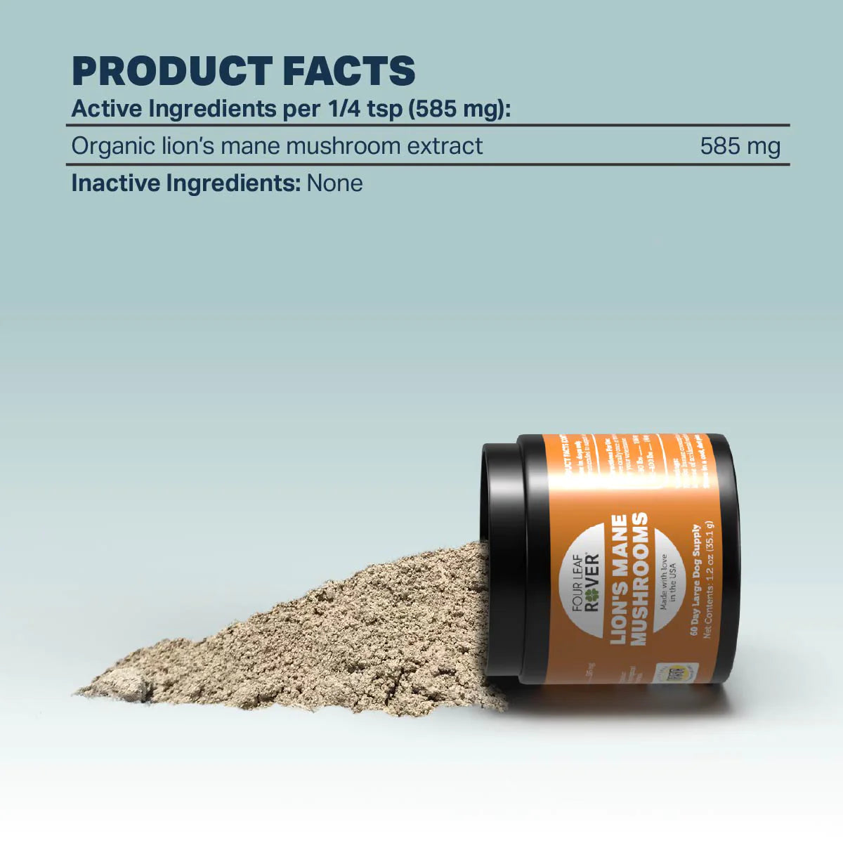 Lion's Mane - Organic Mushroom Extract