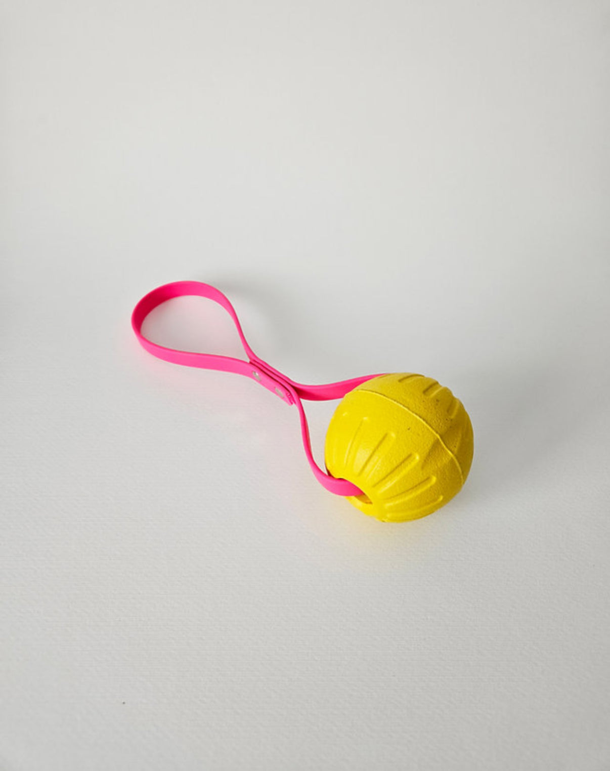 Luna’s Buoy Ball