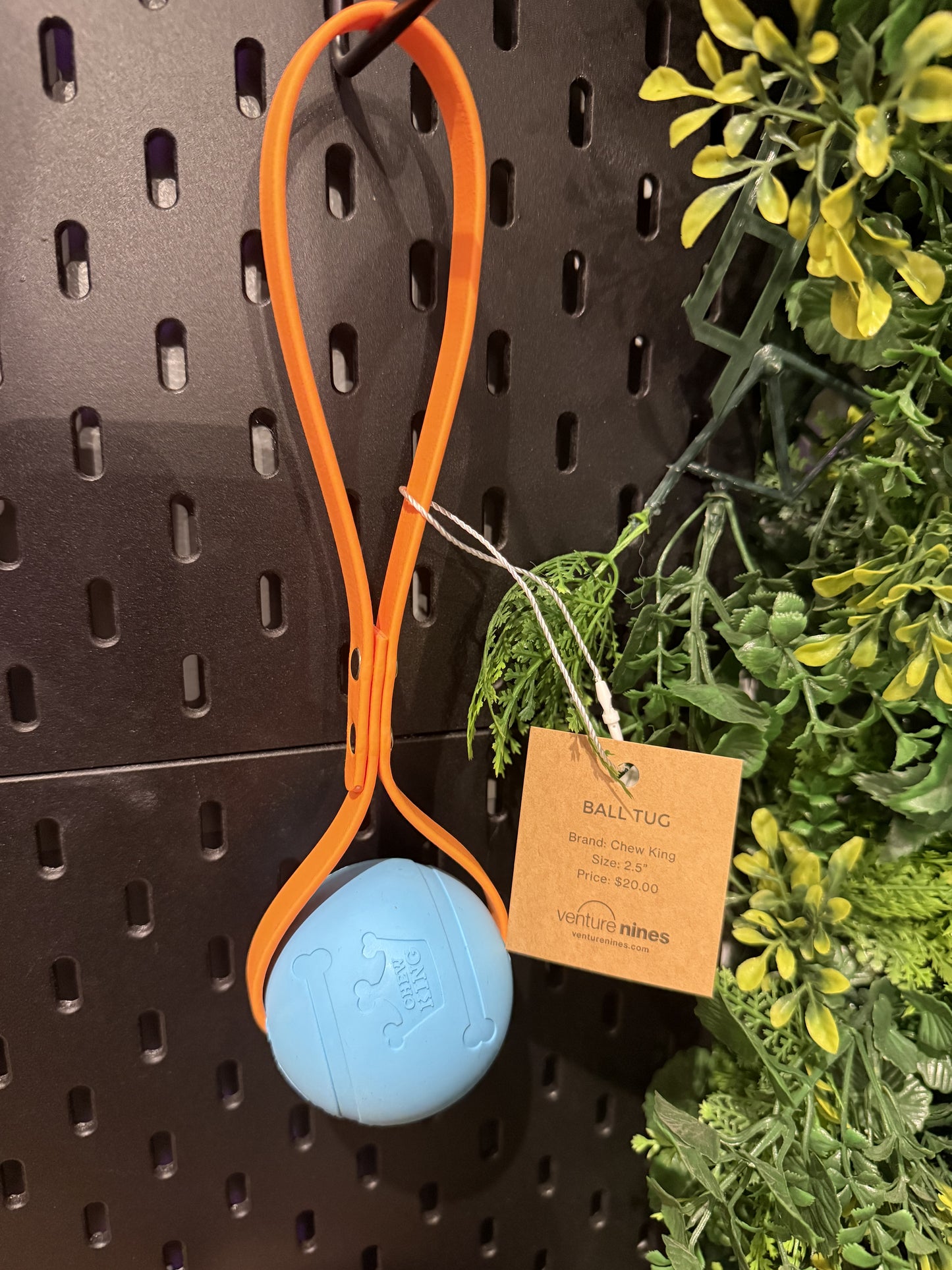 Venture Nines - Chew King - Tug Ball Success
