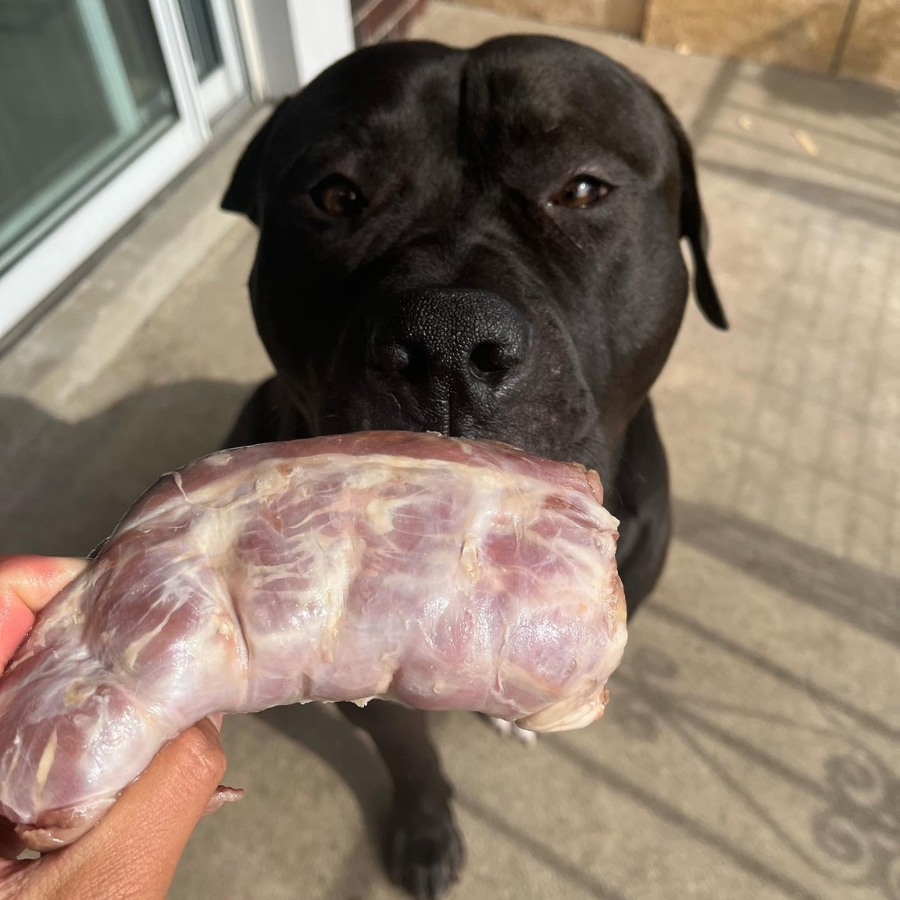 Whole Turkey Necks Approx. 1lb - 4pc