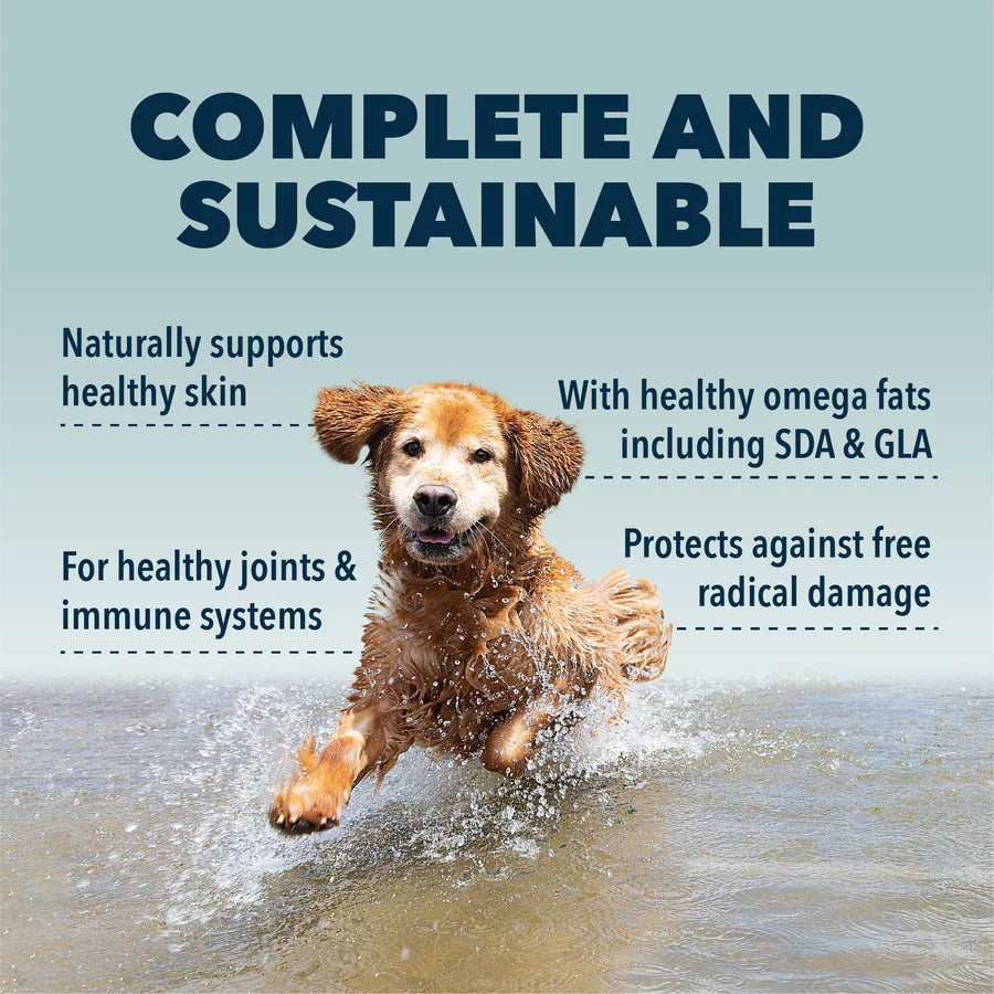 Four Leaf Safe-Sea - Green Lipped Mussel Oil For Dogs 113ml