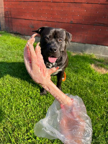 Large Raw Turkey Foot