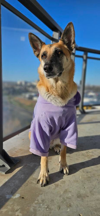 Lavender Hoodie