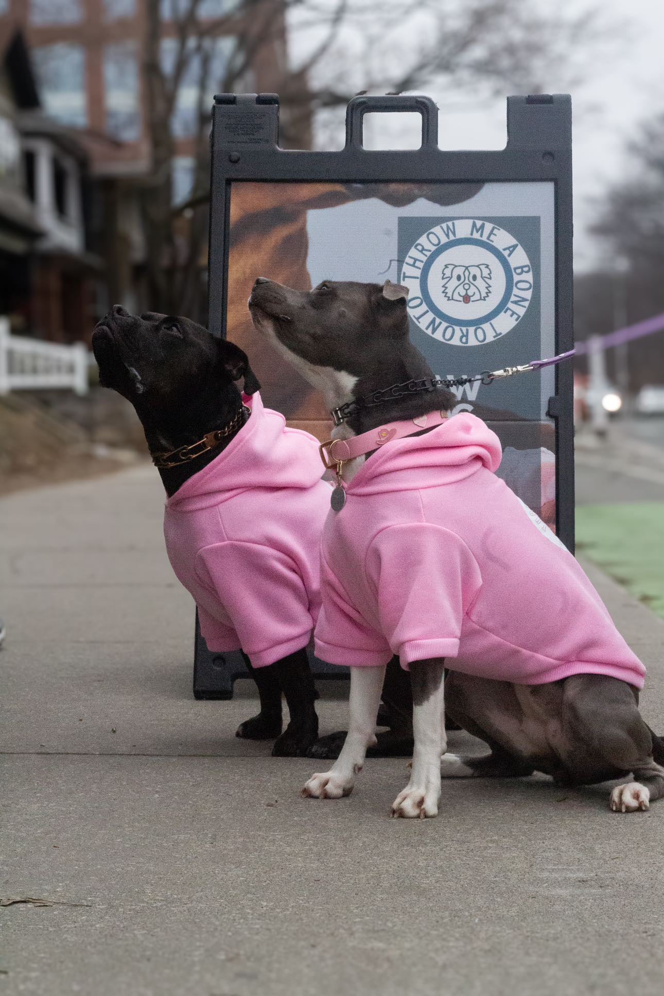 Pretty In Pink Hoodie