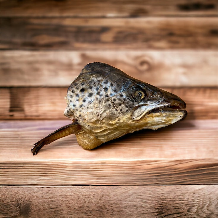 Dehydrated Salmon Head