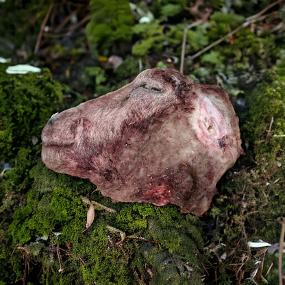 Raw Furry Lamb Head Halves