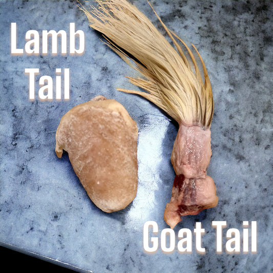 Lamb Tail