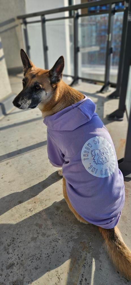 Lavender Hoodie