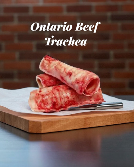 Beef Trachea Raw 1pc