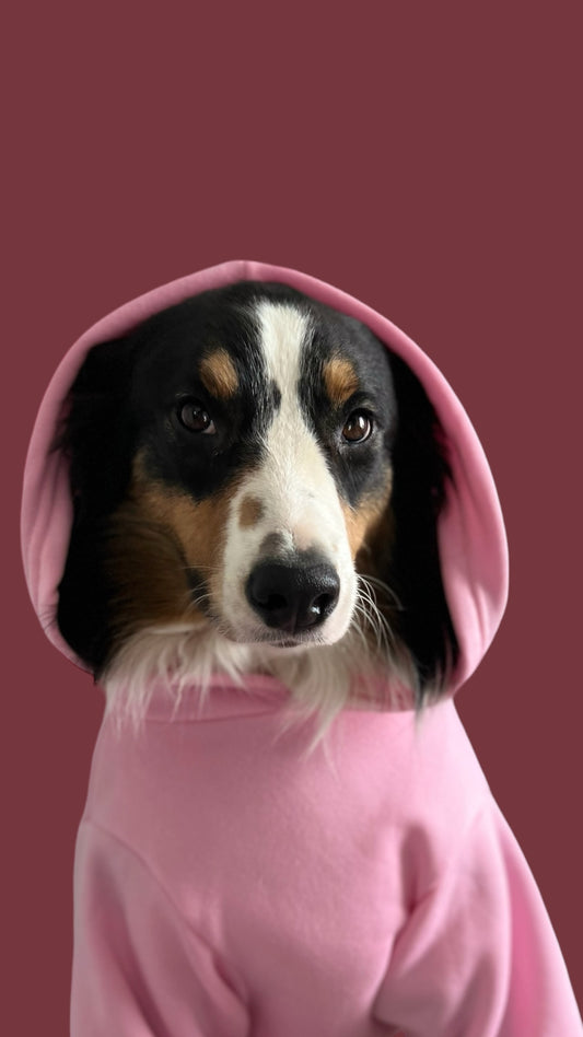 Pretty In Pink Hoodie