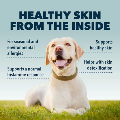 Harmony - Natural Skin Care For Dogs