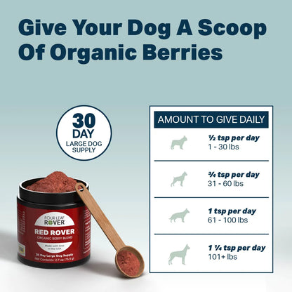 Red Rover - Organic Berries For Dogs