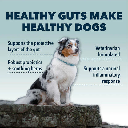 Gut Guard - For Dogs With Irritated Guts