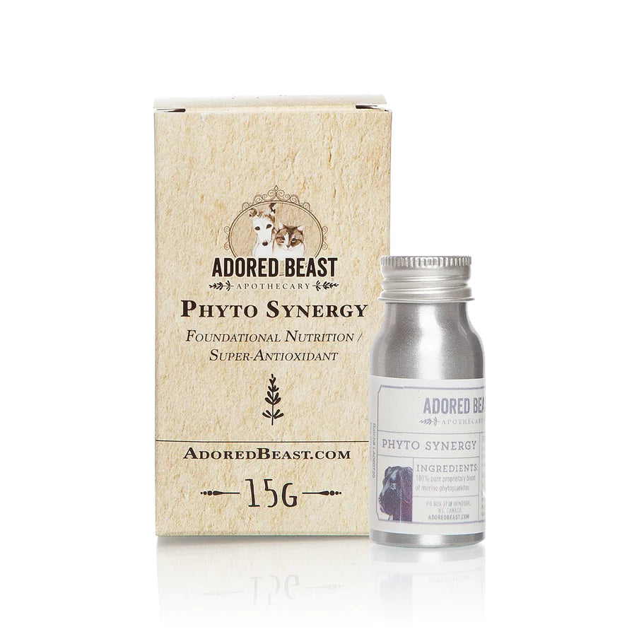Phyto Synergy | Super Antioxidant 15g